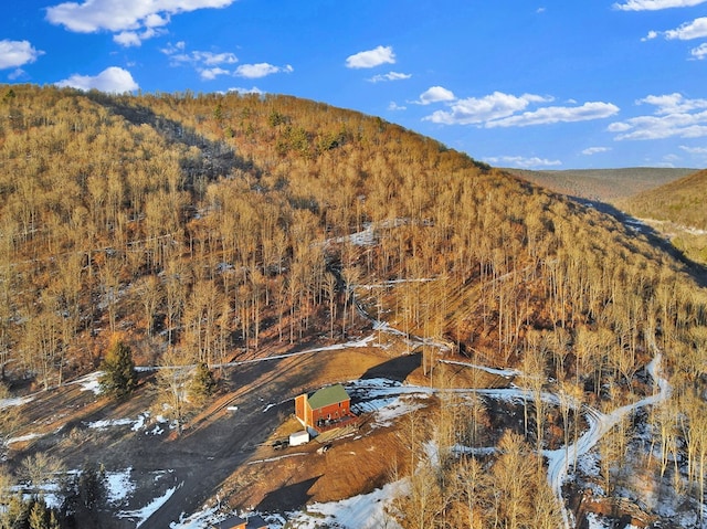 property view of mountains featuring a wooded view