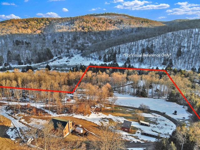 snowy aerial view featuring a forest view and a mountain view