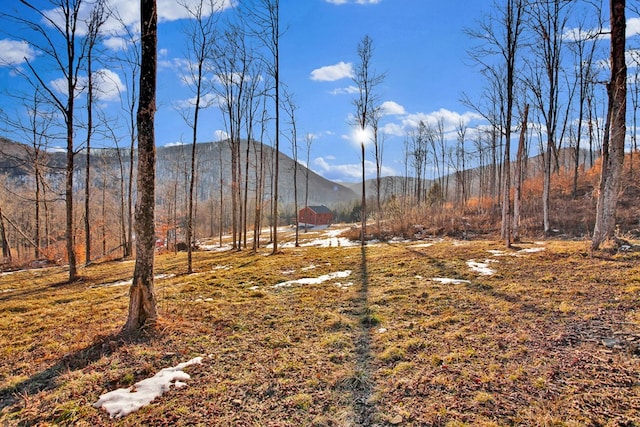 view of yard with a mountain view