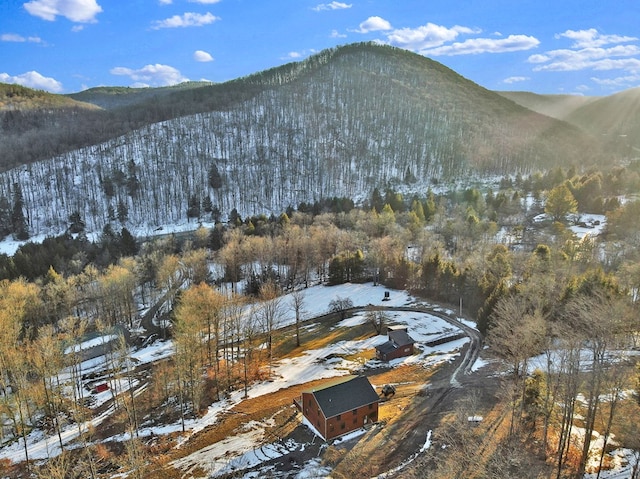 view of mountain feature featuring a view of trees