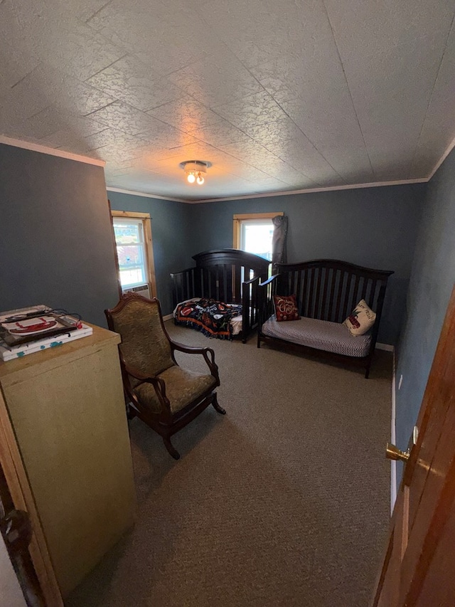 107 Woodworth St, Sayre, PA 18840 - photo 31