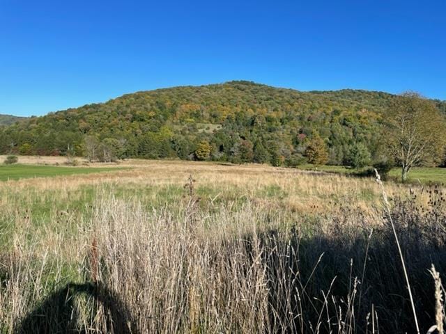 0 Bells Run Rd, Shinglehouse PA, 16748 land for sale