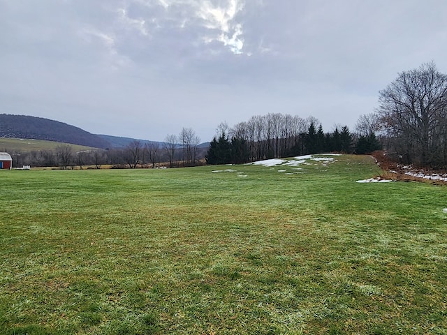 view of yard featuring a mountain view and a rural view