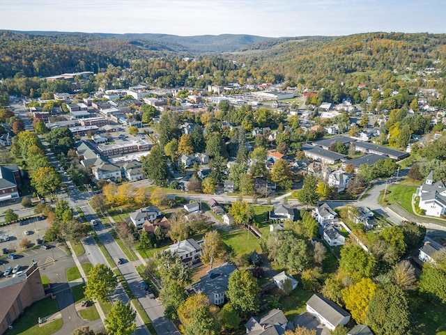 bird's eye view