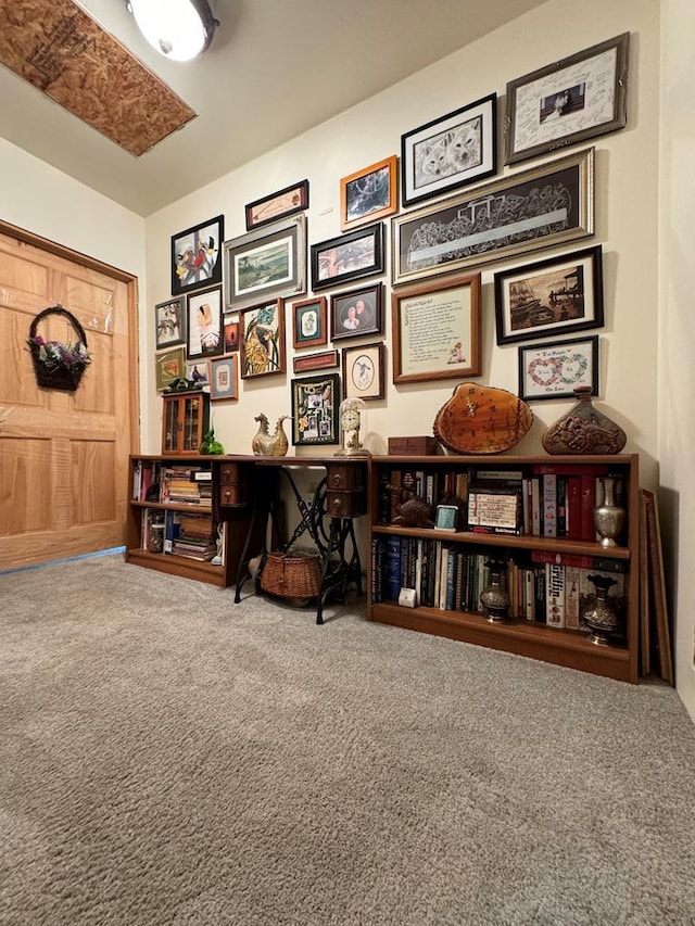 miscellaneous room featuring carpet flooring