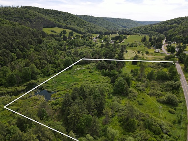 bird's eye view featuring a mountain view