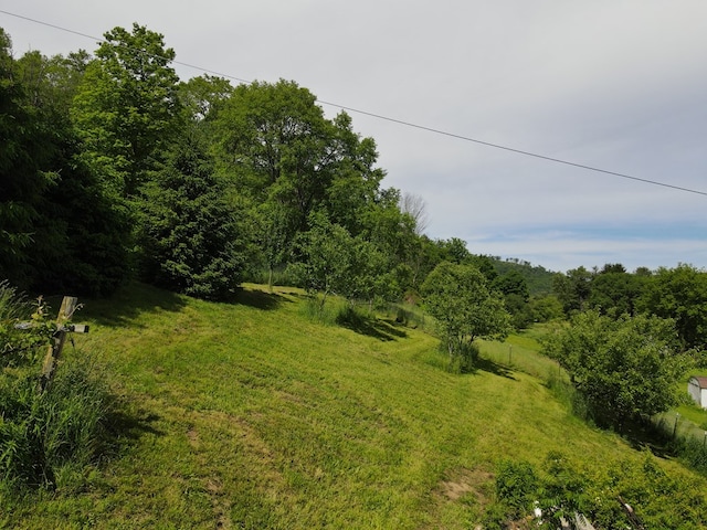 view of local wilderness