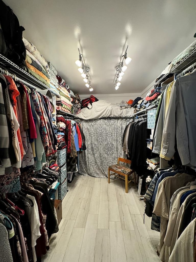 walk in closet featuring light wood-type flooring