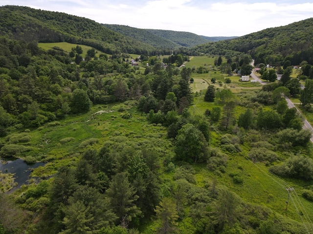 view of mountain feature