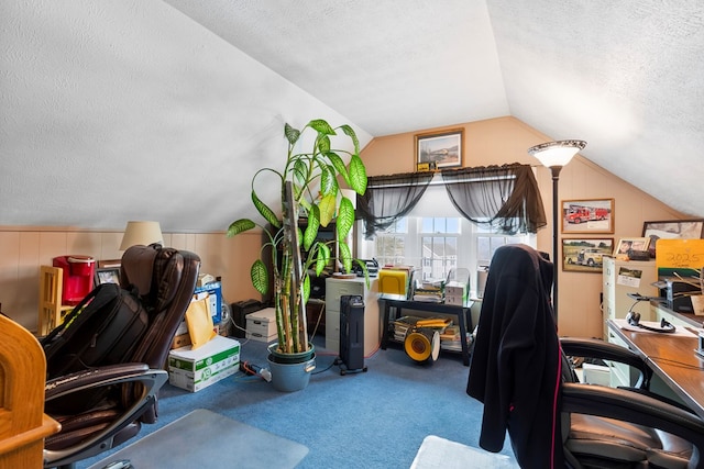 carpeted office space with lofted ceiling and a textured ceiling