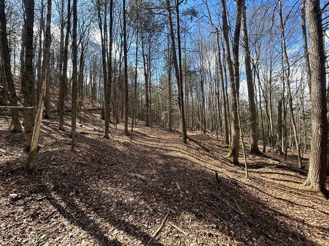 0 Dewey Hollow Rd, Mainesburg, PA 16932 - photo 18