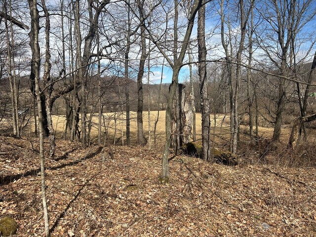 0 Dewey Hollow Rd, Mainesburg, PA 16932 - photo 14