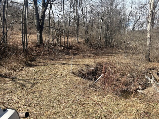 0 Dewey Hollow Rd, Mainesburg, PA 16932 - photo 7