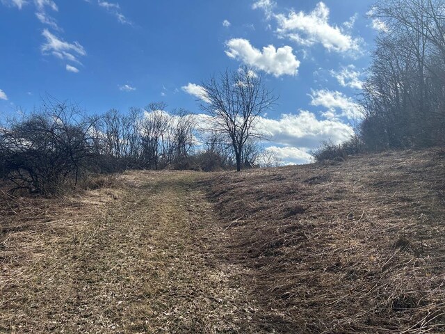 0 Dewey Hollow Rd, Mainesburg, PA 16932 - photo 26