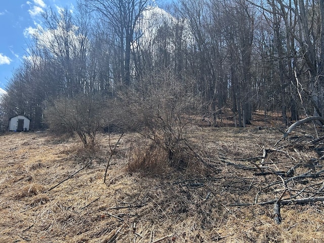 0 Dewey Hollow Rd, Mainesburg, PA 16932 - photo 10