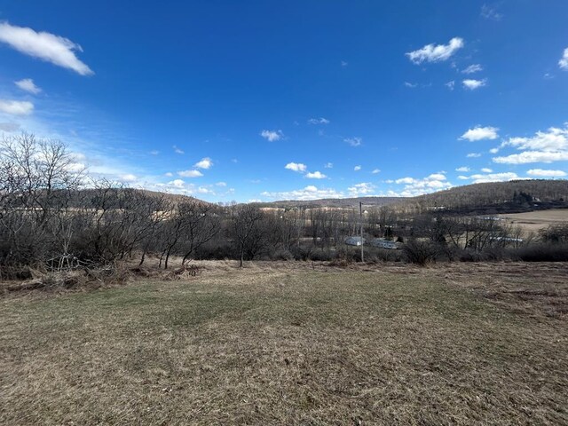 0 Dewey Hollow Rd, Mainesburg, PA 16932 - photo 25