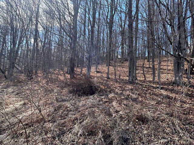 0 Dewey Hollow Rd, Mainesburg, PA 16932 - photo 24