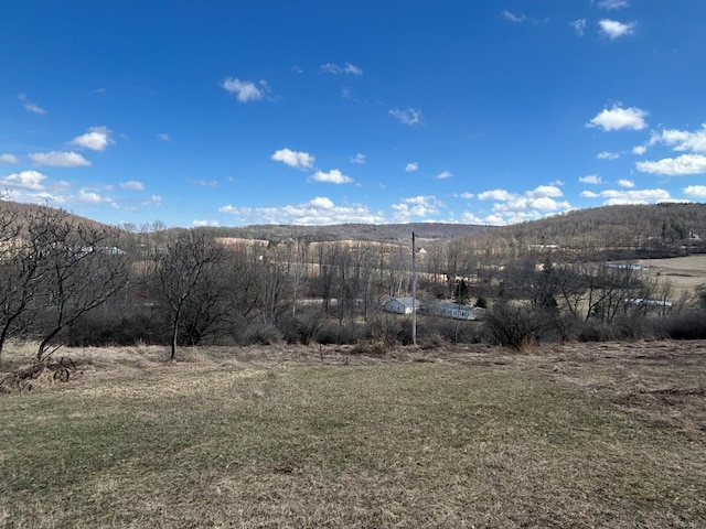 0 Dewey Hollow Rd, Mainesburg, PA 16932 - photo 2