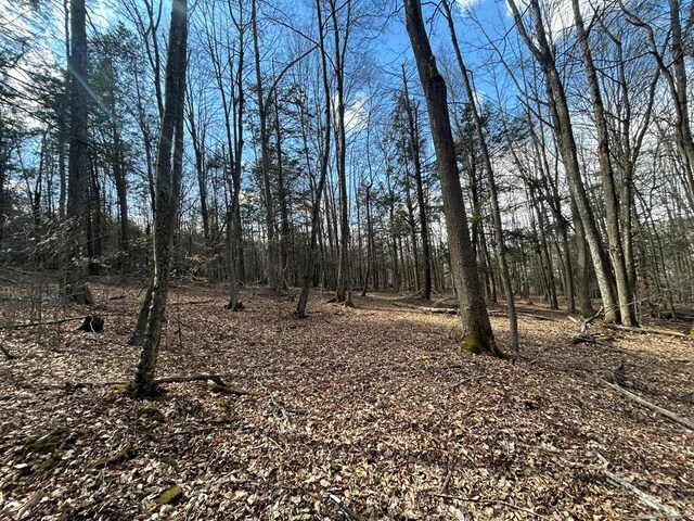 0 Dewey Hollow Rd, Mainesburg, PA 16932 - photo 19