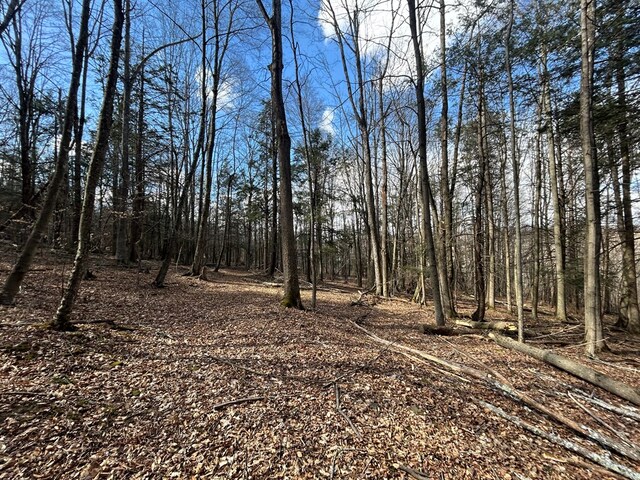 0 Dewey Hollow Rd, Mainesburg, PA 16932 - photo 22