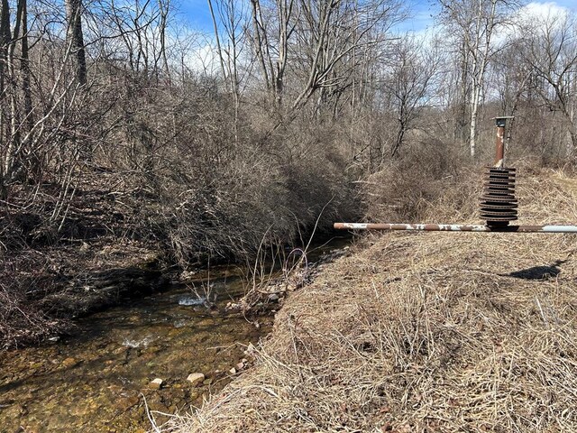 0 Dewey Hollow Rd, Mainesburg, PA 16932 - photo 5
