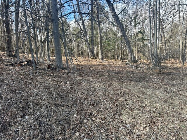 0 Dewey Hollow Rd, Mainesburg, PA 16932 - photo 15