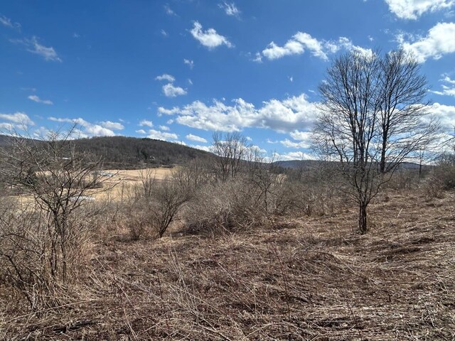0 Dewey Hollow Rd, Mainesburg, PA 16932 - photo 3