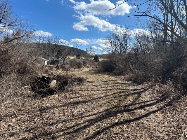 0 Dewey Hollow Rd, Mainesburg, PA 16932 - photo 23
