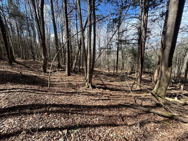 0 Dewey Hollow Rd, Mainesburg, PA 16932 - photo 17