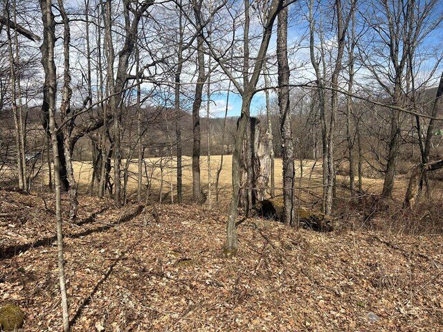 0 Dewey Hollow Rd, Mainesburg, PA 16932 - photo 27