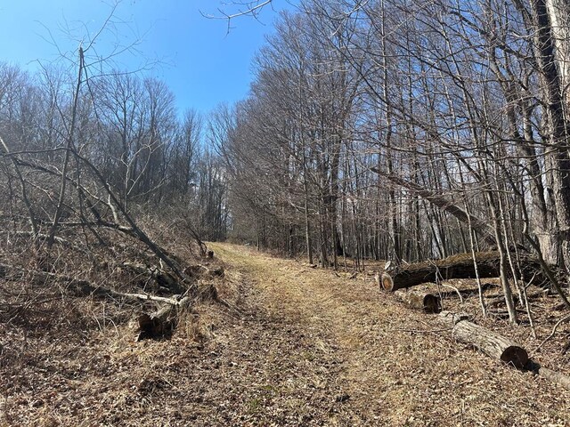0 Dewey Hollow Rd, Mainesburg, PA 16932 - photo 8