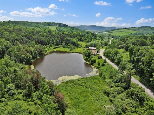 658 Ashley Hill Rd, Mansfield, PA 16933 - bird's eye view of a large body of water and a forest