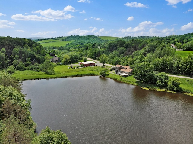 658 Ashley Hill Rd, Mansfield, PA 16933 - drone / aerial view of a large body of water and a forest