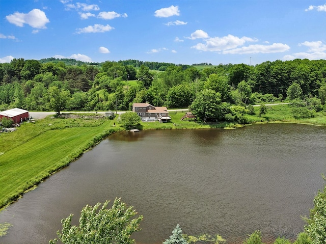 658 Ashley Hill Rd, Mansfield, PA 16933 - water view featuring a forest
