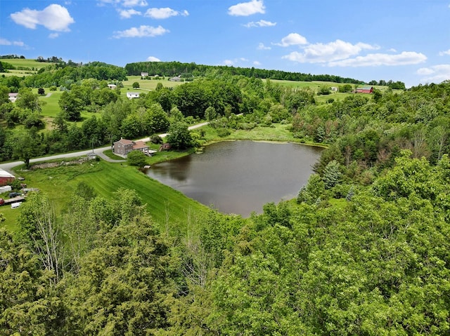 658 Ashley Hill Rd, Mansfield, PA 16933 - aerial view of property and surrounding area featuring a large body of water