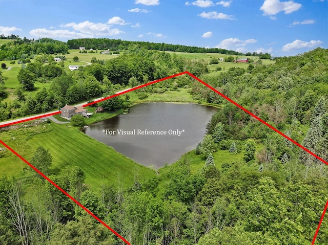 658 Ashley Hill Rd, Mansfield, PA 16933 - view of property location featuring property parcel outlined and a nearby body of water
