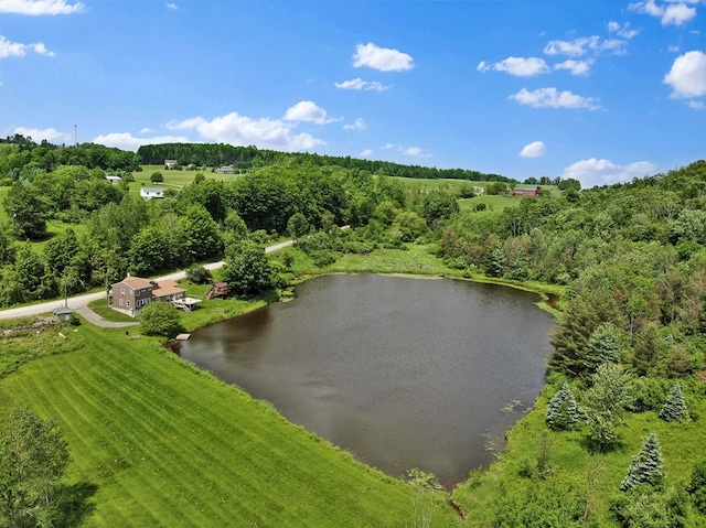 658 Ashley Hill Rd, Mansfield, PA 16933 - aerial view of sparsely populated area with a large body of water