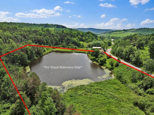 658 Ashley Hill Rd, Mansfield, PA 16933 - aerial view of property and surrounding area with a large body of water and property parcel outlined