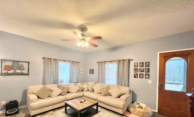 living area with a textured ceiling and a ceiling fan