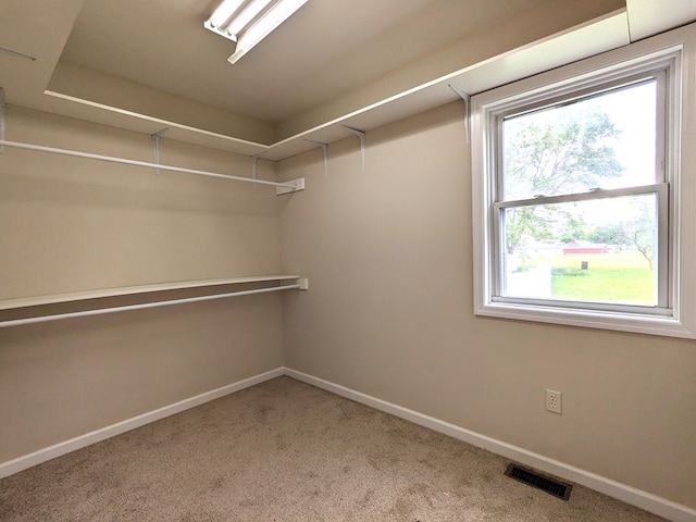 15 Loomis Ln, Gillett, PA 16925 - spacious closet featuring carpet