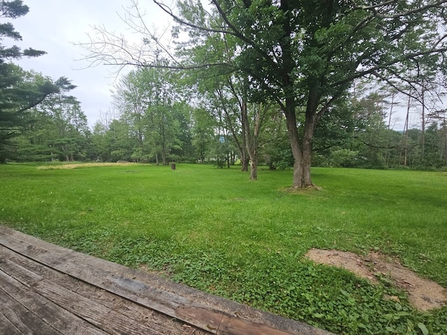 5 Courtly Cir, Owego, NY 13827 - photo 47