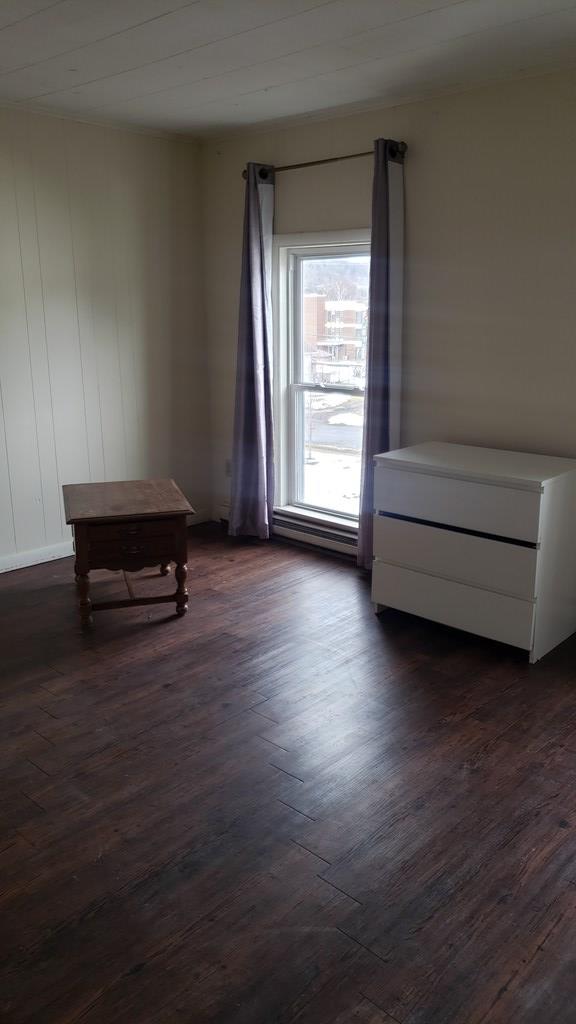 spare room featuring dark wood-type flooring