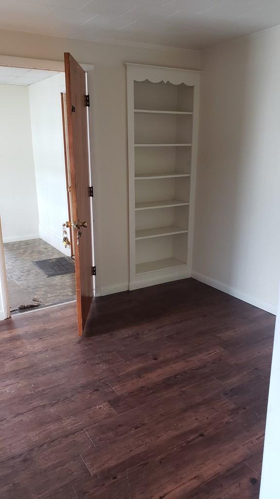 interior space featuring built in shelves and dark wood-type flooring