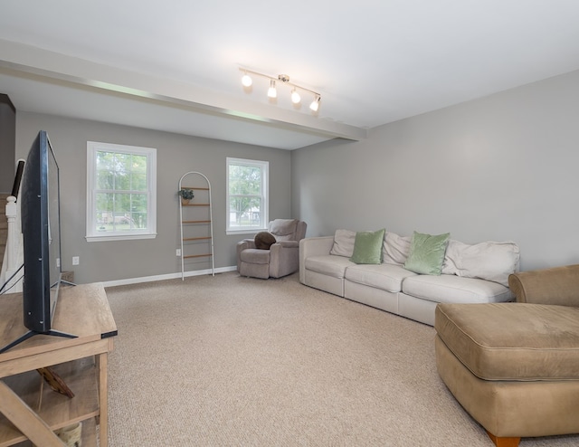 113 W Woodlawn Ave, Elkland, PA 16920 - carpeted living room featuring baseboards
