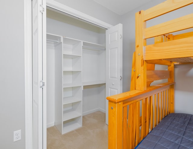 113 W Woodlawn Ave, Elkland, PA 16920 - view of closet