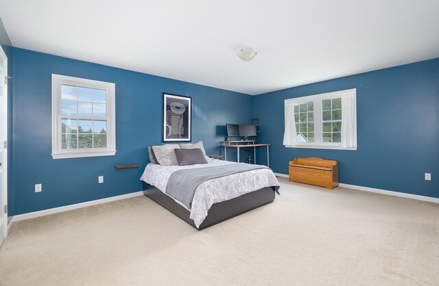 113 W Woodlawn Ave, Elkland, PA 16920 - bedroom featuring carpet flooring and baseboards