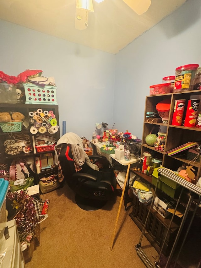 storage area with ceiling fan