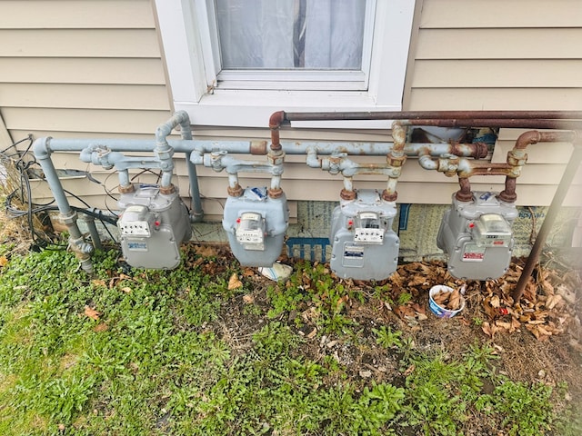 exterior details with gas meter