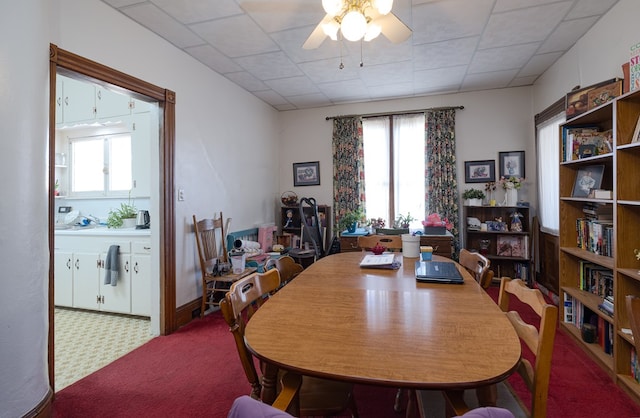 carpeted dining area with ceiling fan