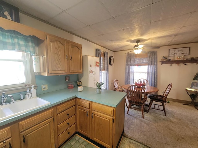 kitchen with sink, ceiling fan, a drop ceiling, light carpet, and kitchen peninsula